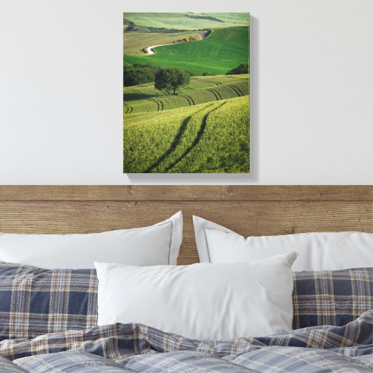 Bochtige lijnen in groene Toscaanse canvas print (Insitu (Slaapkamer))