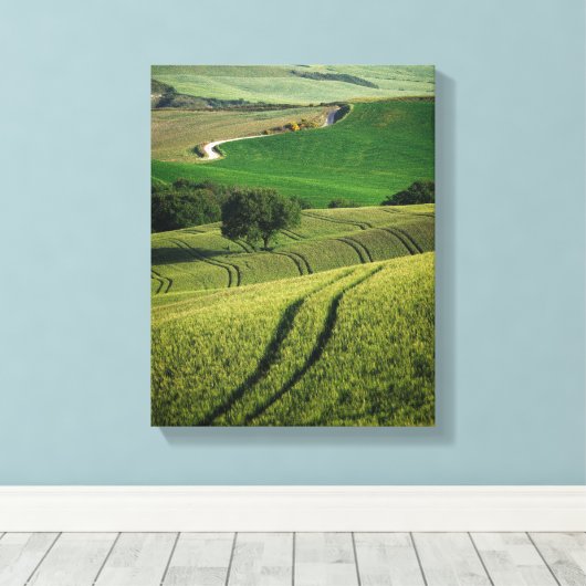 Bochtige lijnen in groene Toscaanse canvas print (Insitu (Houten vloer))