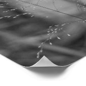 Bochtige smele poster (Hoek)