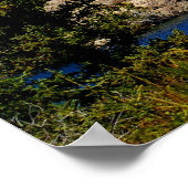 Bod Sylvan Poster uit South Dakota (Hoek)