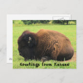 Bodalo, Greetings uit Kansas. Briefkaart (Voorkant / Achterkant)