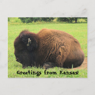 Bodalo, Greetings uit Kansas. Briefkaart