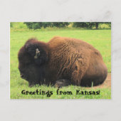 Bodalo, Greetings uit Kansas. Briefkaart (Voorkant)