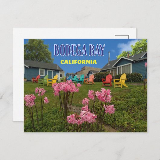 Bodega Bay Bodega Harbour in Briefkaart (Voorkant / Achterkant)