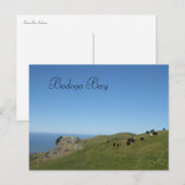 Bodega Bay, Ca, Briefkaart (Voorkant / Achterkant)