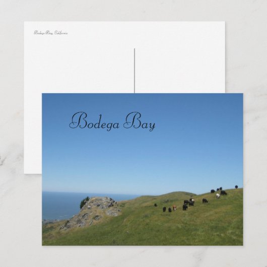 Bodega Bay, Ca, Briefkaart (Voorkant / Achterkant)