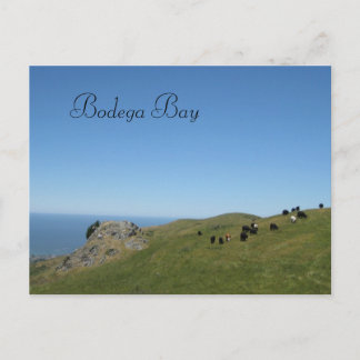 Bodega Bay, Ca, Briefkaart