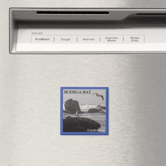 Bodega Bay magnet (Insitu (Vaatwasser))