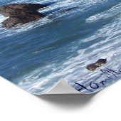 Bodega Bay Poster (Hoek)