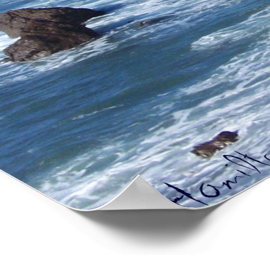 Bodega Bay Poster (Hoek)