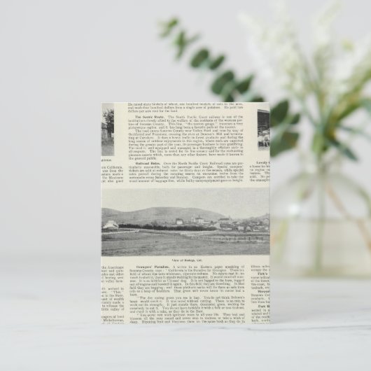 Bodega, Californië Briefkaart (Staand voorkant)