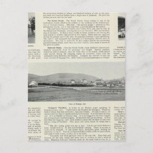 Bodega, Californië Briefkaart