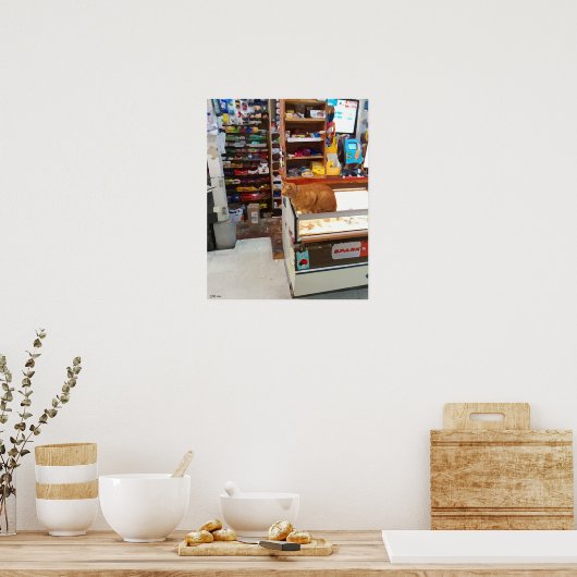 Bodega Cat Poster (Keuken)