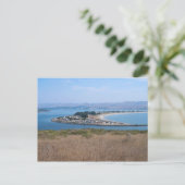 Bodega Harbour en Doran Park Briefkaart (Staand voorkant)