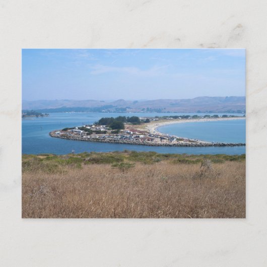 Bodega Harbour en Doran Park Briefkaart (Voorkant)