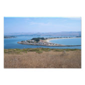 Bodega Harbour en Doran Park Foto Afdruk (Voorkant)