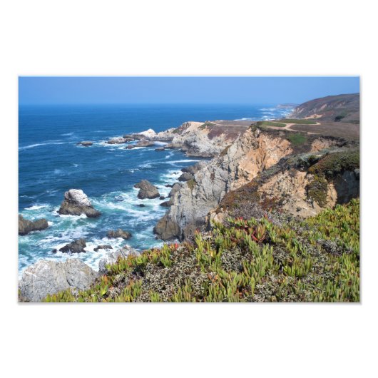 Bodega Head Rugged Coast and Trail Foto Afdruk (Voorkant)