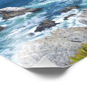 Bodega Head Rugged Coast and Trail Foto Afdruk (Hoek)