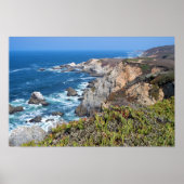 Bodega Head Rugged Coast and Trail Poster (Voorkant)