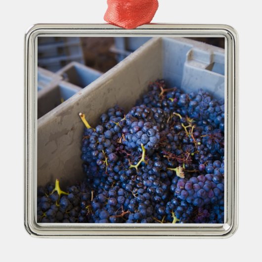 Bodega Marques de Riscal wijnmakerij, druiven Metalen Ornament (Voorkant)