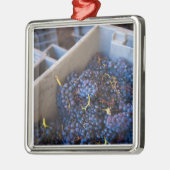 Bodega Marques de Riscal wijnmakerij, druiven Metalen Ornament (Links)