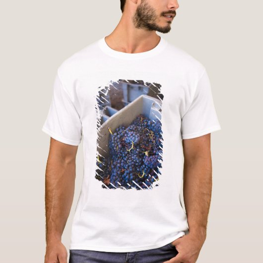 Bodega Marques de Riscal wijnmakerij, druiven T-shirt (Voorkant)