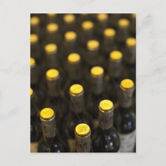Bodega Marques de Riscal wijnmakerij, flessen wijn Briefkaart (Voorkant)