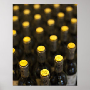 Bodega Marques de Riscal wijnmakerij, flessen wijn Poster