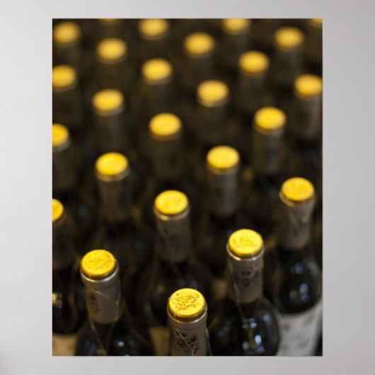 Bodega Marques de Riscal wijnmakerij, flessen wijn Poster (Voorkant)
