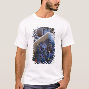 Bodega Marques de Riscal winery, druiven T-shirt