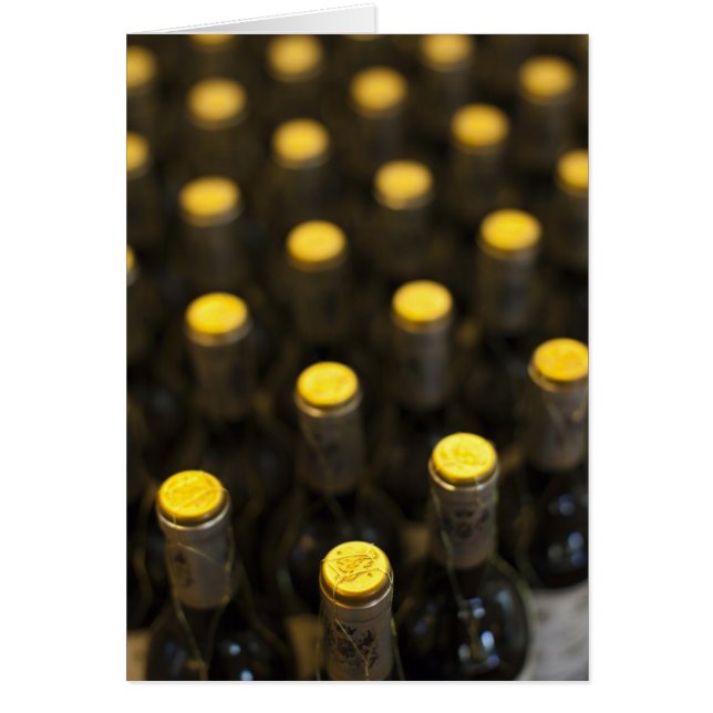 Bodega Marques de Riscal winery, wijnflessen (Voorkant)