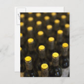 Bodega Marques de Riscal winery, wijnflessen Briefkaart (Voorkant / Achterkant)