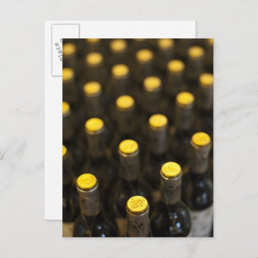 Bodega Marques de Riscal winery, wijnflessen Briefkaart (Voorkant / Achterkant)