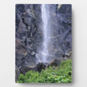 Bodem van de Herfsten van Bridalveil, Yosemite, CA Fotoplaat (voorkant)