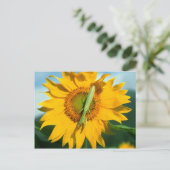 Bodemantis in een zonnebloem briefkaart (Staand voorkant)