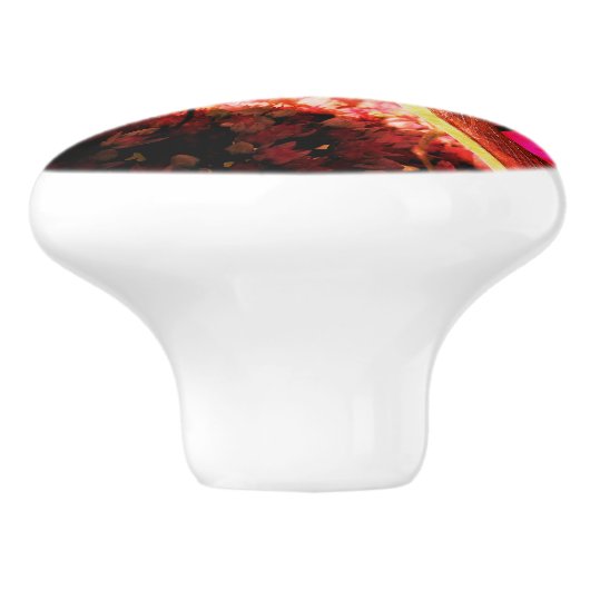 Bodemantis op Abstracte kieuwboon Keramische Knop (Zijkant)