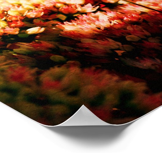 Bodemantis op Abstracte kieuwboon Poster (Hoek)