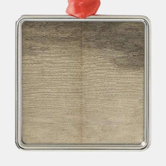 Bodembaai, Zuid-Georgië Metalen Ornament (Voorkant)