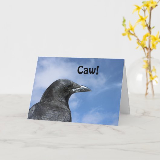 Bodembedekking Kaart (Gele Bloem)