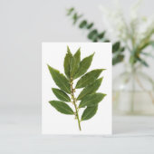 Bodemblad Briefkaart (Staand voorkant)