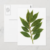 Bodemblad Briefkaart (Voorkant / Achterkant)