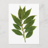 Bodemblad Briefkaart (Voorkant)