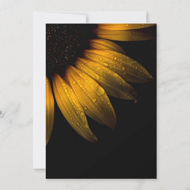 Bodembloemen 28 Zonnebloem (Voorkant)