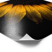 Bodembloemen 28 Zonnebloem Foto Afdruk (Hoek)