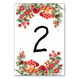 Bodembloemen Bodembeugel Kaart