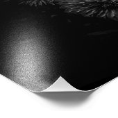 Bodembloemen in zwart-wit nr. 29 foto afdruk (Hoek)