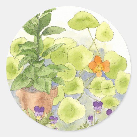 Bodemboom Nasturtium Flower Waterverf Herb. Ronde Sticker (Voorkant)