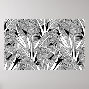Bodemboom, plant en palmboom, zwart-wit poster