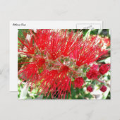 Bodemborstelventilator Rode tropische Floral Briefkaart (Voorkant / Achterkant)