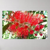 Bodemborstelventilator Rode tropische Floral Poster (Voorkant)